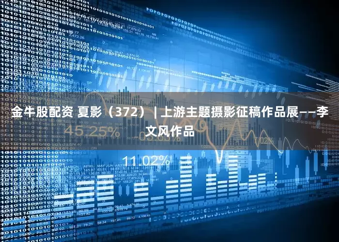 金牛股配资 夏影（372） | 上游主题摄影征稿作品展——李文风作品