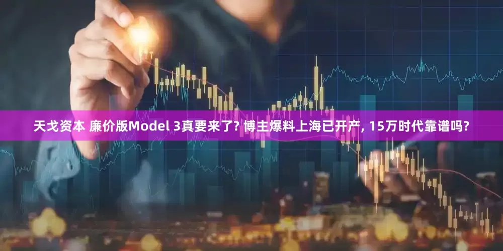 天戈资本 廉价版Model 3真要来了? 博主爆料上海已开产, 15万时代靠谱吗?